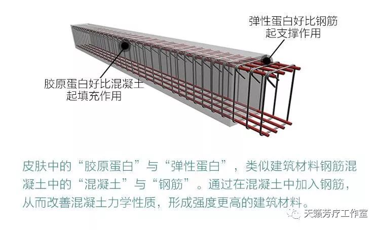 蛋白胶原蛋白肽是不是传销_什么牌子的胶原蛋白肽效果好_蛋白肽和胶原蛋白肽有什么区别