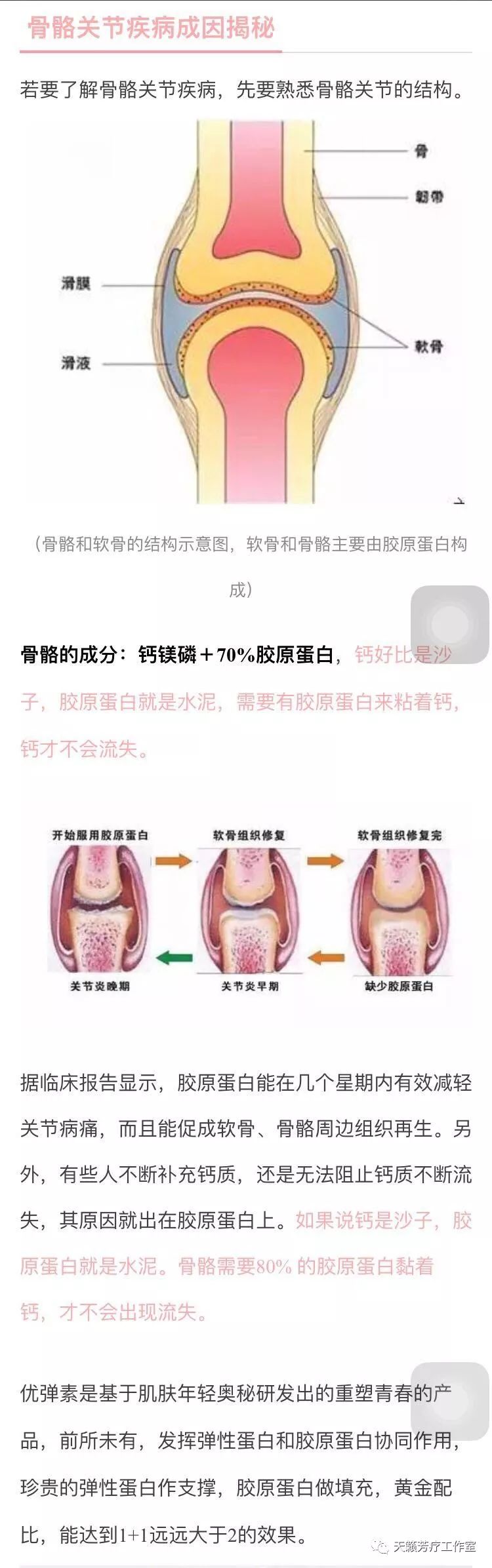 蛋白胶原蛋白肽是不是传销_什么牌子的胶原蛋白肽效果好_蛋白肽和胶原蛋白肽有什么区别