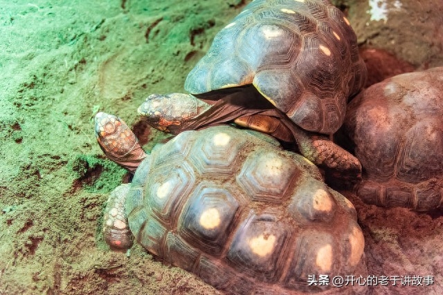 抚顺热高乐园_抚顺热高乐园五一开吗_抚顺热高乐园好玩吗