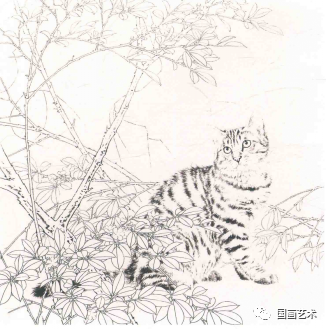 猫画法简笔画_猫画法素描_猫的画法