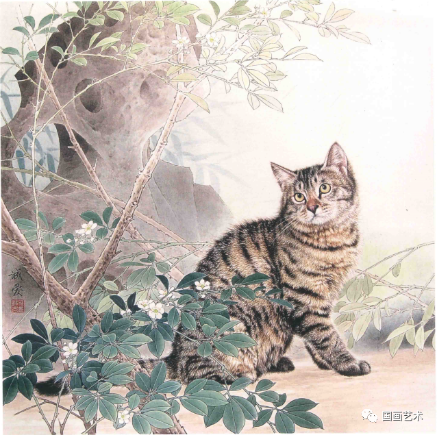 猫画法简笔画_猫画法素描_猫的画法