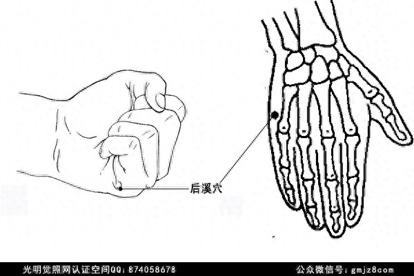 手三里别名_手三里穴_手三里手三里