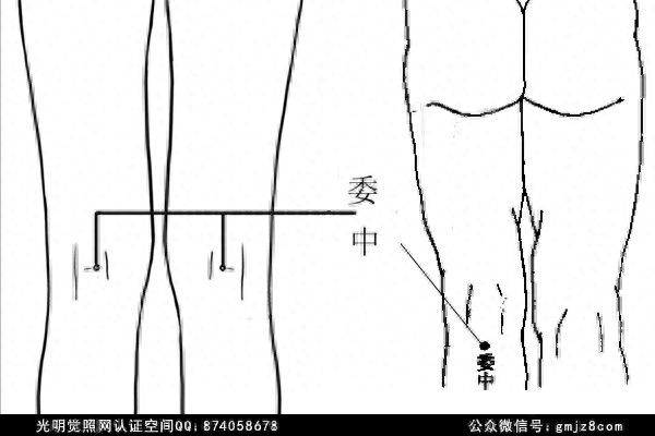 手三里手三里_手三里别名_手三里穴