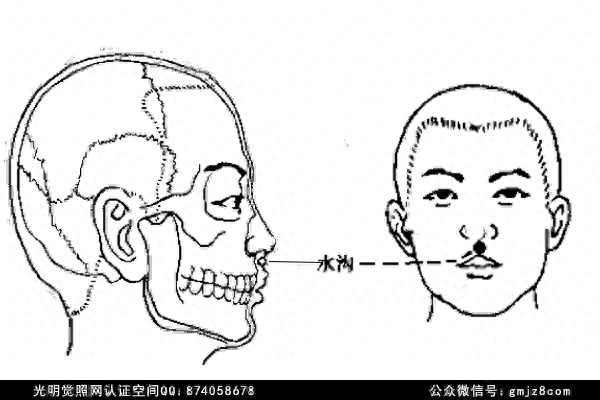 手三里别名_手三里穴_手三里手三里