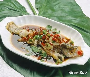 鲈鱼蒸多长时间最佳_鲈鱼蒸多长时间最佳_鲈鱼蒸多长时间最佳