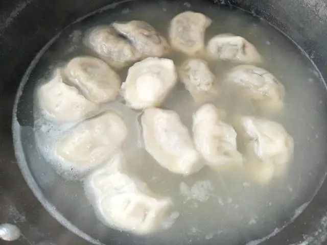 冷冻的饺子是冷水下锅还是热水下锅_冷冻的饺子是冷水下锅还是热水下锅_冷冻的饺子是冷水下锅还是热水下锅