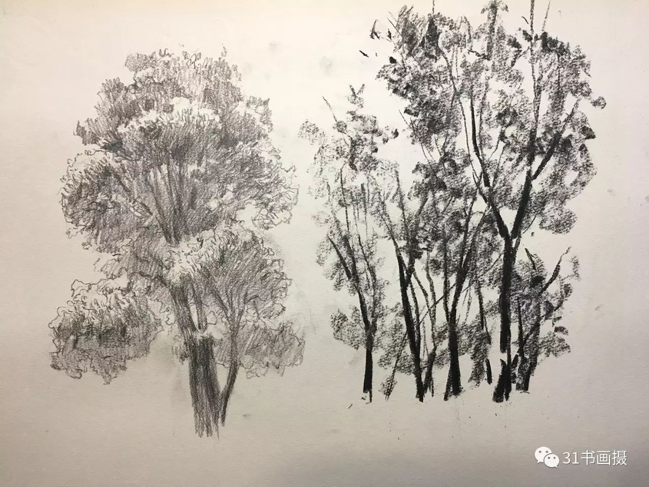 风景画素描_风景素描画山水简单_风景素描画图片