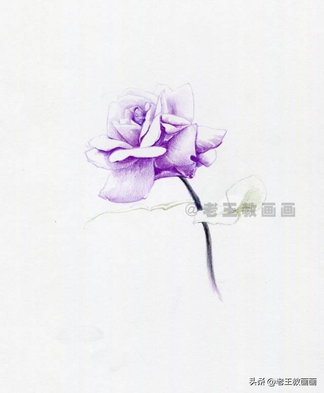 花边怎么画_花边画框_花边画画