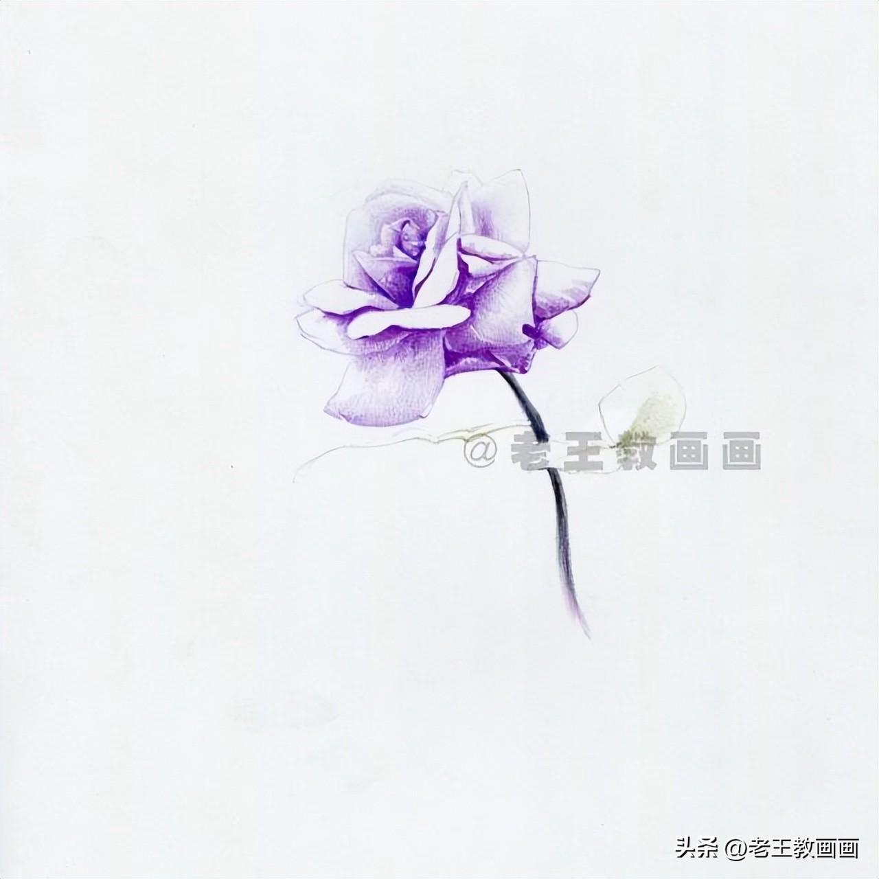 花边画画_花边怎么画_花边画框