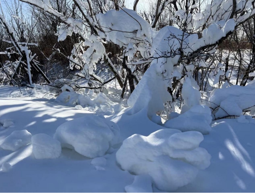 怎么画雪花_雪花画法简笔画_雪花画法