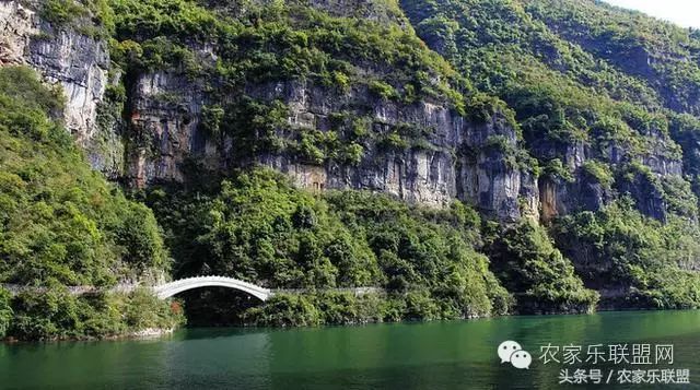 重庆旅游景点简介_重庆旅游景点介绍一下_重庆旅游景点介绍