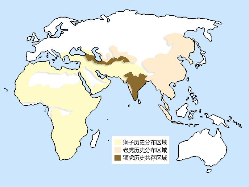 老虎狮子森林王是什么动物_森林之王是老虎还是狮子_森林里老虎和狮子谁是王