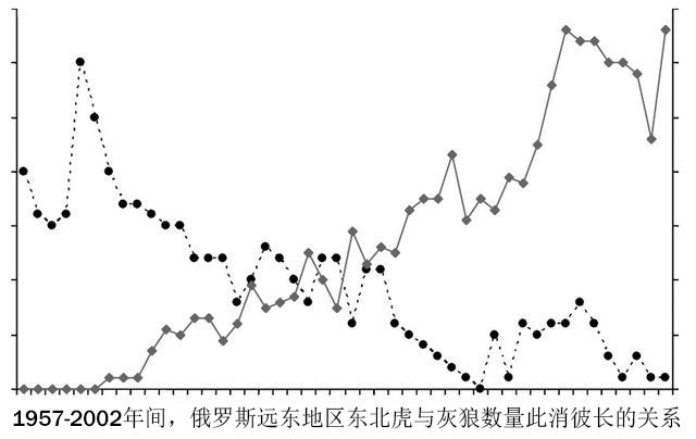 森林之王是老虎还是狮子_老虎狮子森林王是什么动物_森林里老虎和狮子谁是王