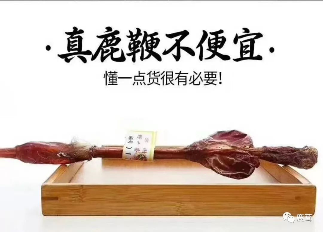 泡酒配方最佳鹿鞭配比_鹿鞭泡酒的最佳配方_泡鹿鞭酒的配方