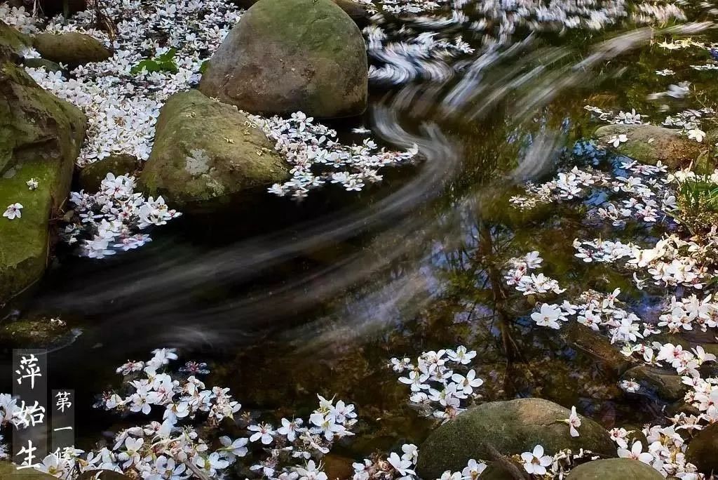 节气春天开始_节气春天简笔画_春天的节气