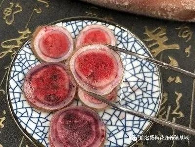 鹿鞭泡酒的最佳配方_泡酒的鹿鞭怎么吃_泡酒配方最佳鹿鞭配比