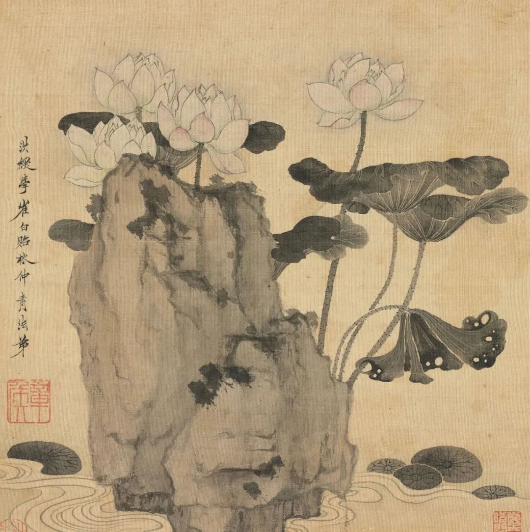 莲花香的寓意和象征_莲花香寓意着什么_莲花的象征意