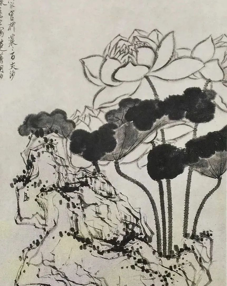 莲花香寓意着什么_莲花香的寓意和象征_莲花的象征意