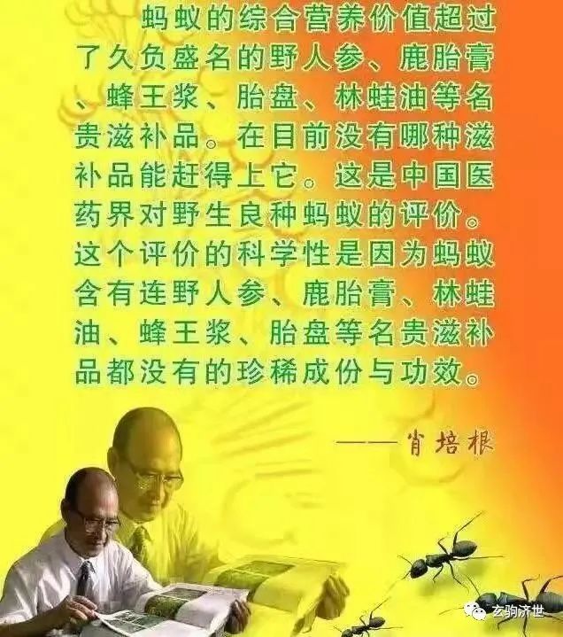 砭石的作用_砭石有什么神奇功效与作用_砭石的用法和好处