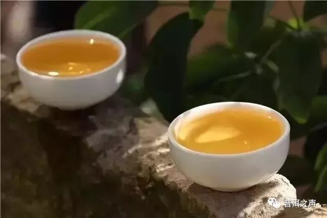 怎样喝苦荞茶最好_苦荞茶的正确喝法_喝苦荞茶的正确方法