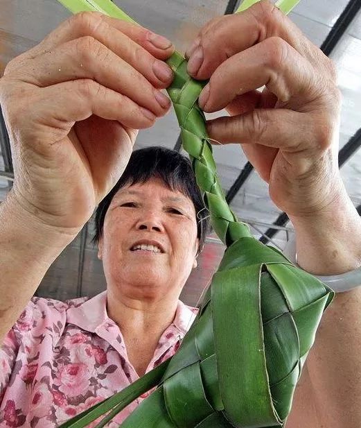 包粽子的芦苇叶怎么保存_粽子新鲜芦苇叶包处理方法视频_新鲜的芦苇叶怎么处理包粽子