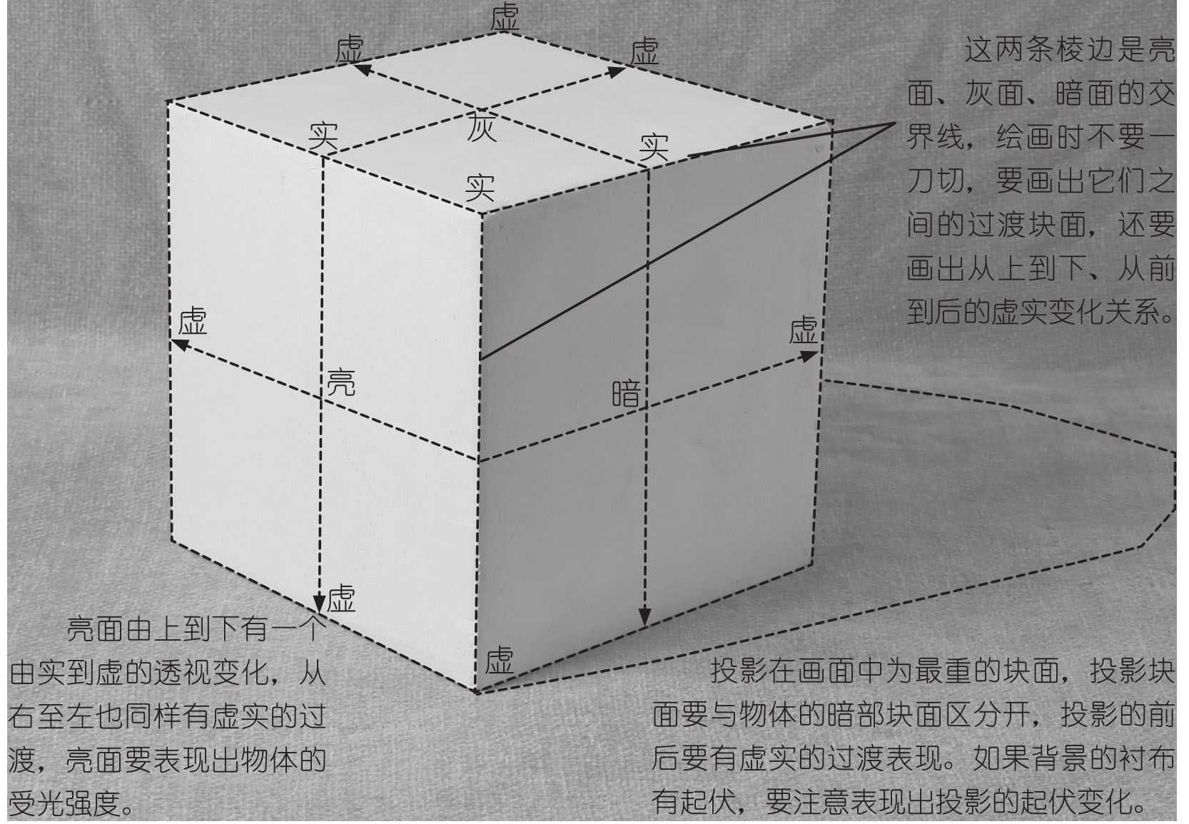 素描三大面五大调_素描调整_素描中的面