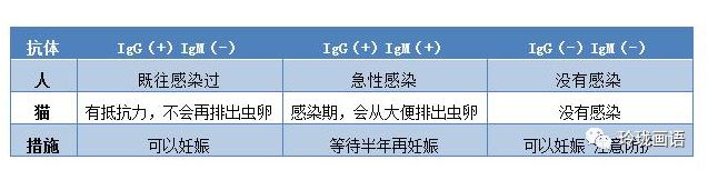 猫感染弓形虫会流产吗_猫感染弓形虫会有什么症状_猫感染了弓形虫