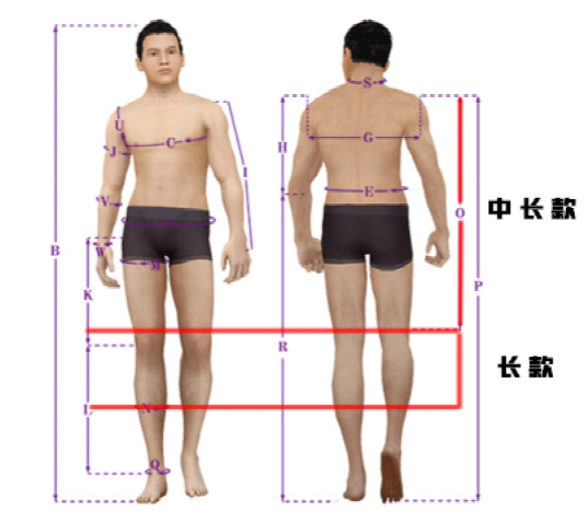 胸围怎么算尺码_尺码胸围_胸围尺子