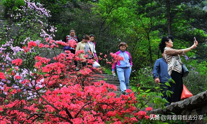 九华山在哪里_九华山天气_九华山庄