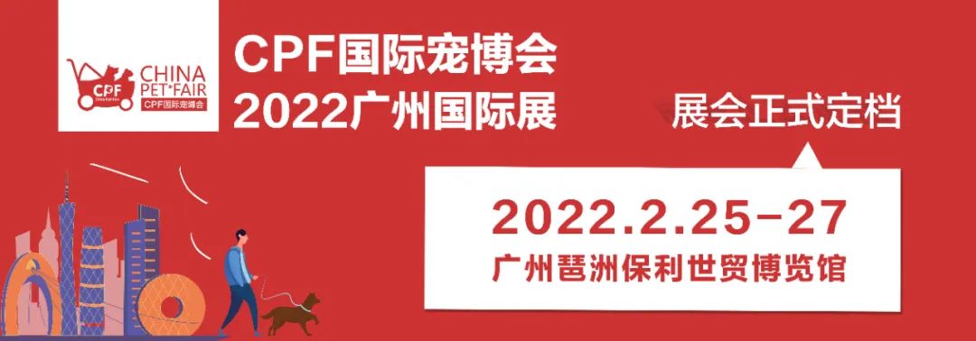 怎样训练比熊听话_比熊犬怎么训练才能听话_听话的比熊