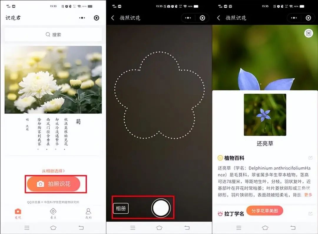 花草识别软件_识别花草_花草识别神器
