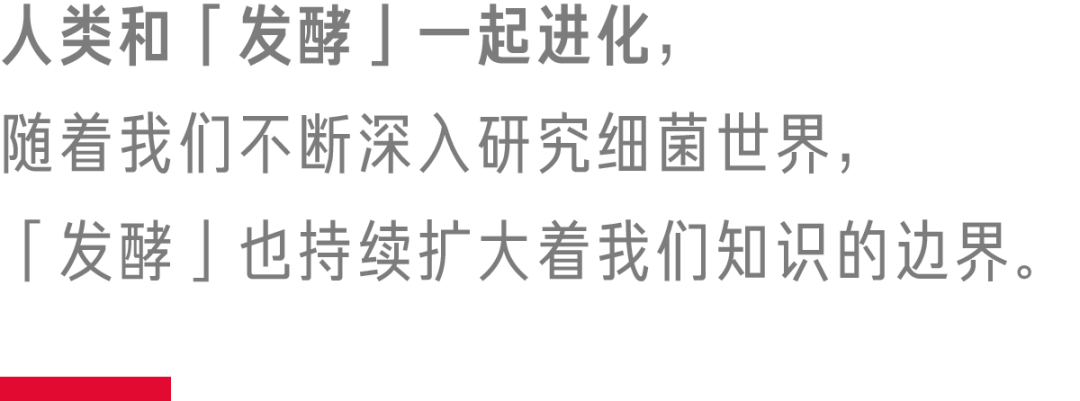 怎样制红茶菌_红茶菌制作方法_制作方法红茶菌怎么做