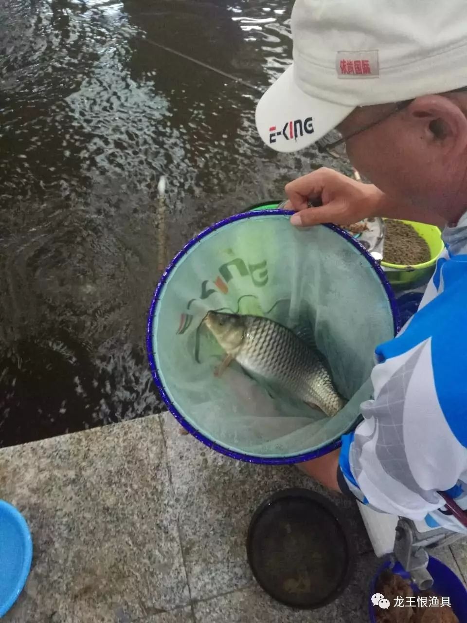 鲤鱼和鲫鱼是一个品种吗_鲤鱼和鲫鱼的区别都有哪些_鲤鱼鲫鱼区别有几种