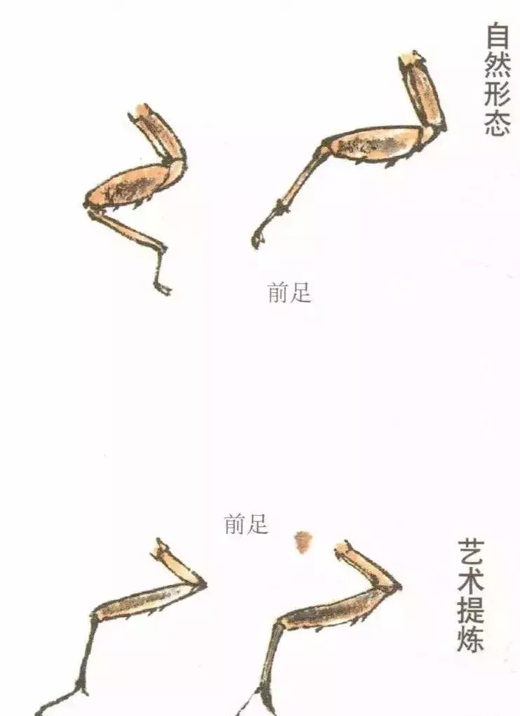 蝉简笔画上色_蝉的简笔画_蝉简笔画视频