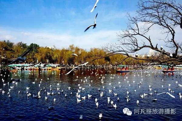 昆明攻略石林日游景区_昆明旅游石林_昆明石林一日游攻略