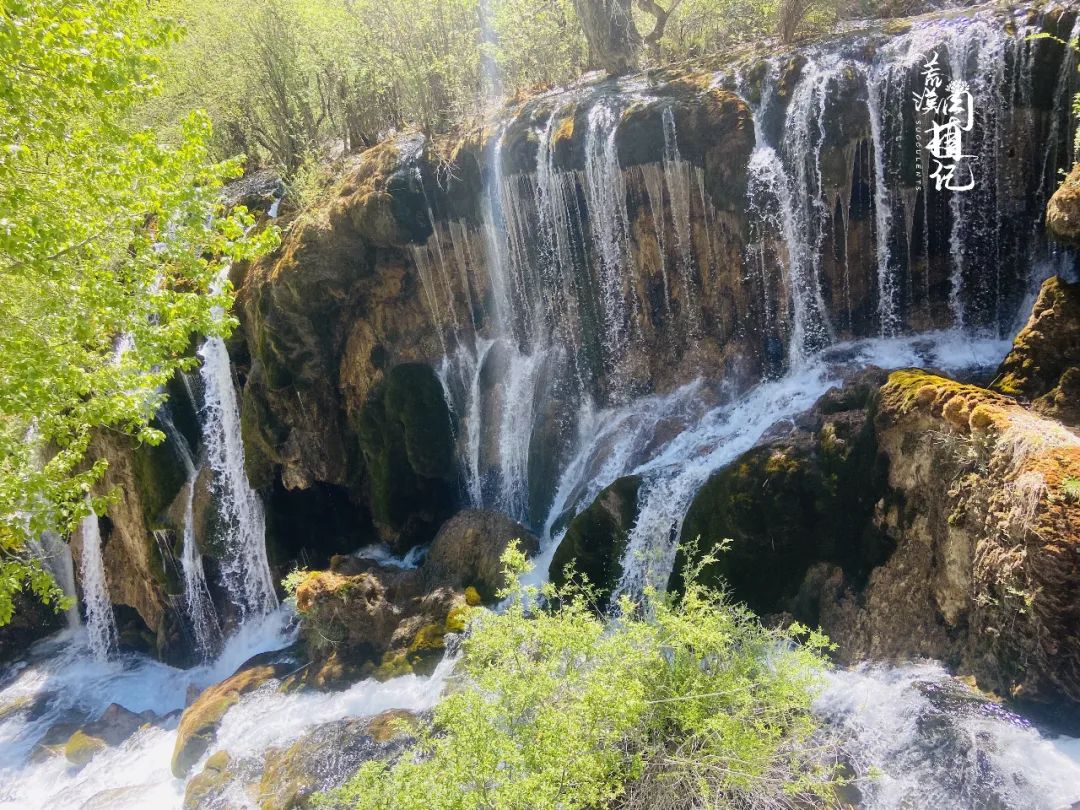 九寨沟去成都途径什么景点_到成都九寨沟_成都怎么去九寨沟