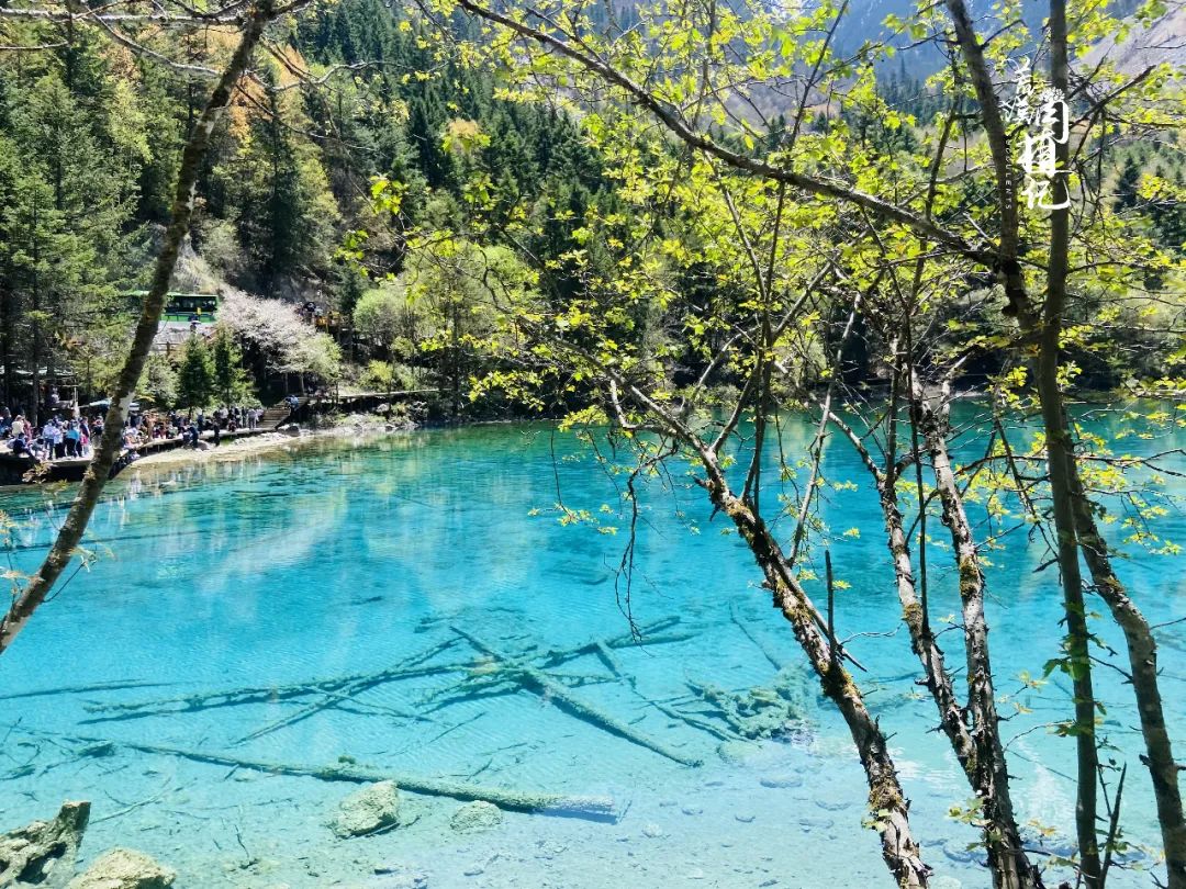 到成都九寨沟_成都怎么去九寨沟_九寨沟去成都途径什么景点