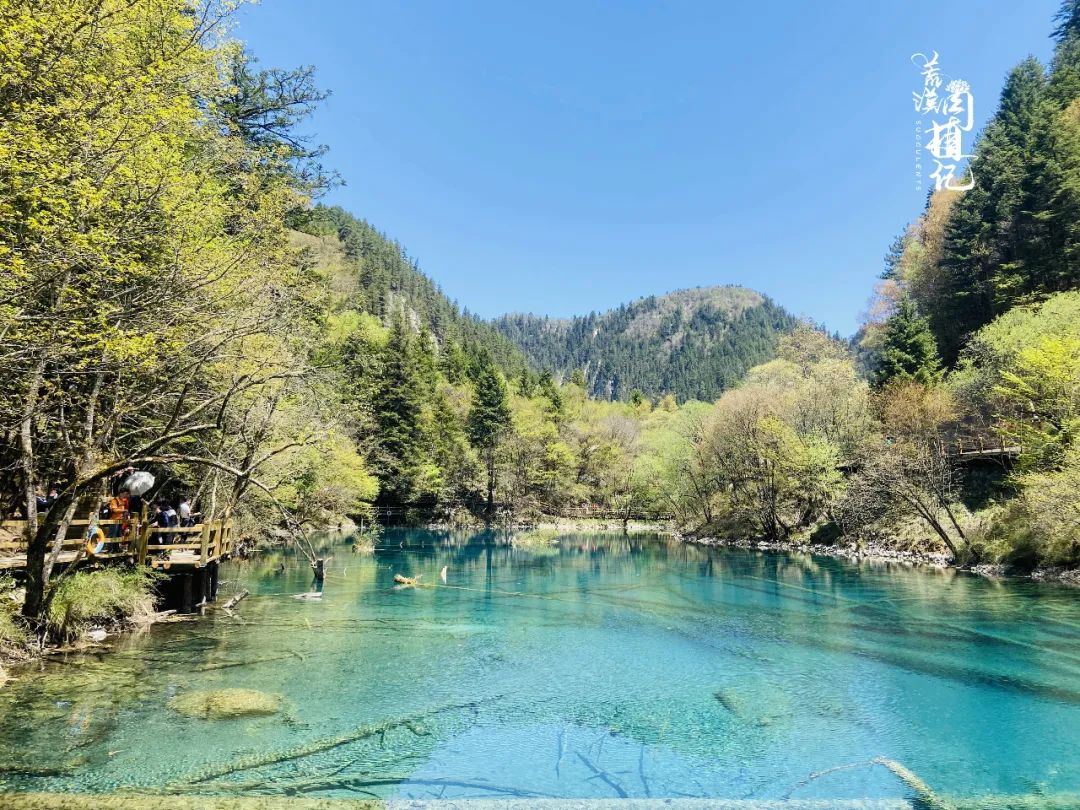 九寨沟去成都途径什么景点_到成都九寨沟_成都怎么去九寨沟