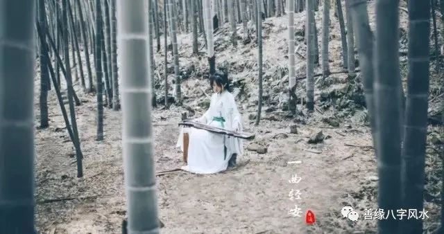 罕见的富贵女人手相_女人富贵命罕见手相_罕见富贵手相命女人面相