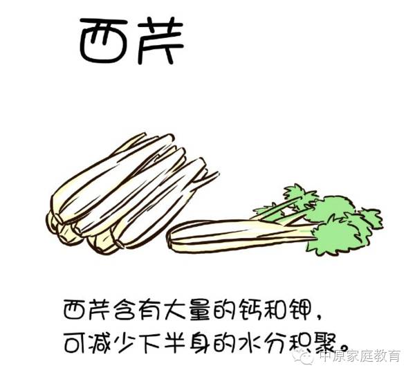 能吃瘦的食谱_越吃越瘦的28种食物_太瘦吃什么食物