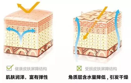 敷面膜一天几次最好_一天敷面膜时间_一天敷两次面膜好吗