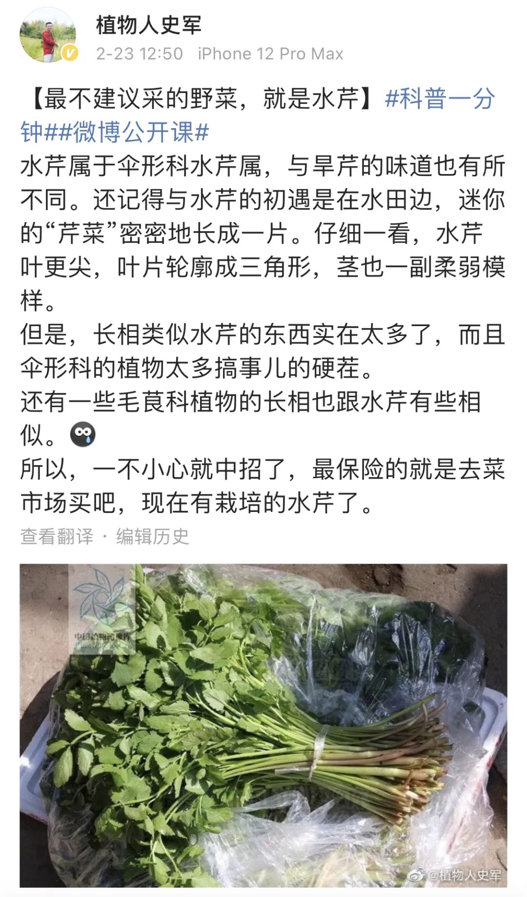 哪些野菜可以吃_野菜能常吃吗_野菜可不可以吃