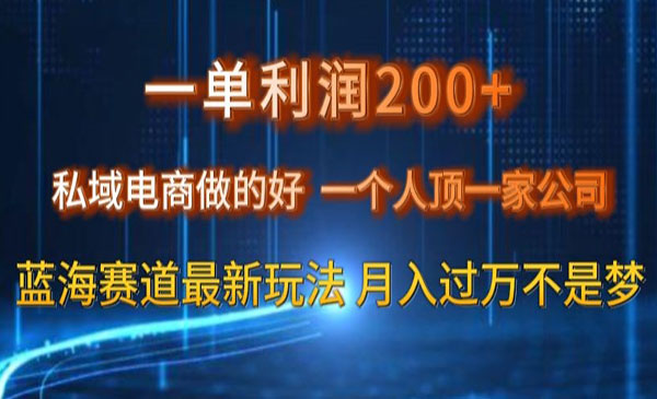 一单利润200私域电商做的好，一个人顶一家公司蓝海赛道最新玩法