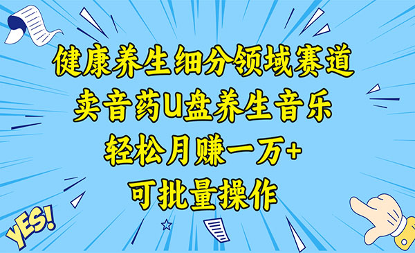 健康养生细分领域赛道，卖音药U盘养生音乐，轻松月赚一万+，可批量操作