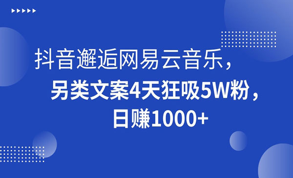 抖音邂逅网易云音乐，另类文案4天狂吸5W粉，日赚1000+