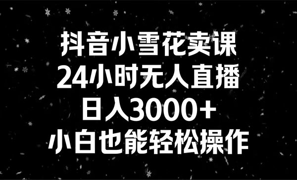 抖音小雪花卖缝补收纳教学视频课程，无人直播日入3000+