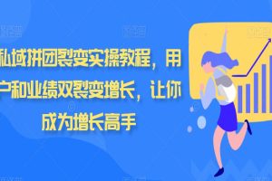 私域拼团裂变实操教程，用户和业绩双裂变增长，让你成为增长高手