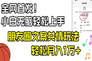 小白轻松无脑上手，朋友圈共情文案玩法，月入1W+