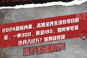 2024最新内幕，高佣金养生汤包项目解密，一单300，佣金180，如何单号操作月入过万？保姆级教程