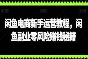 闲鱼电商新手运营教程，闲鱼副业零风险赚钱秘籍